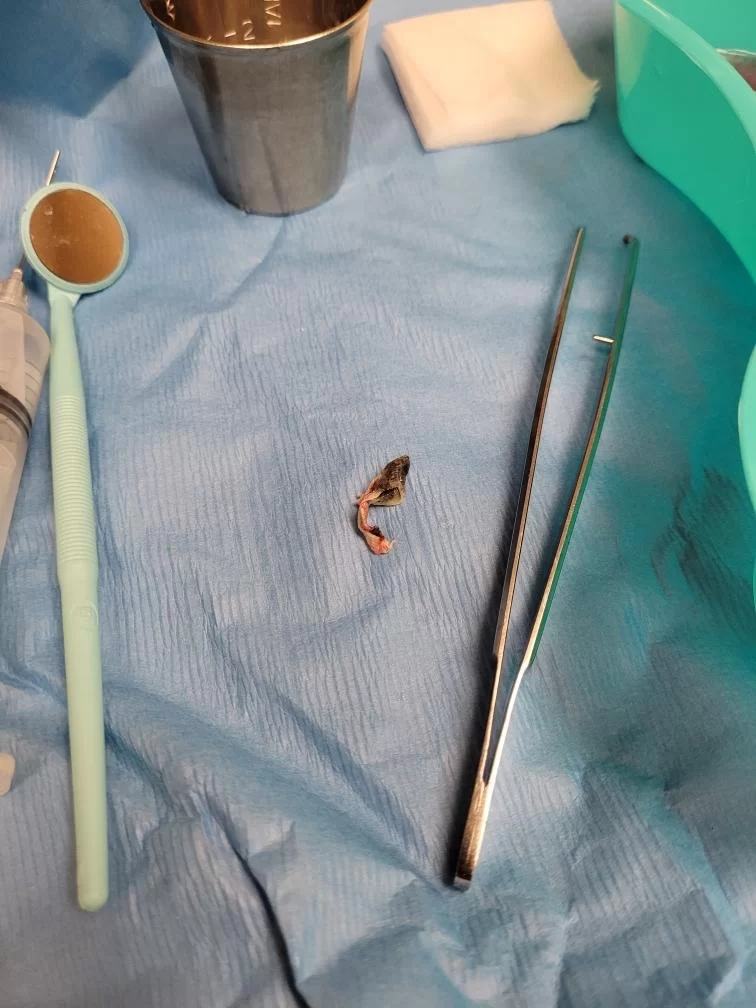 Beaverton Oral Surgeons Picture 4