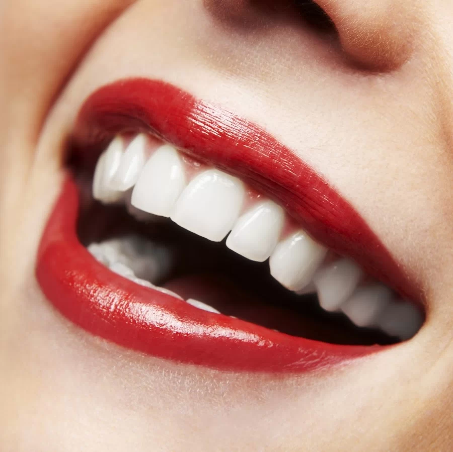 East Wind Dental Care Picture 3