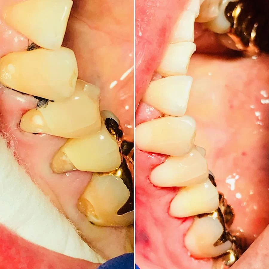 East Wind Dental Care Picture 4