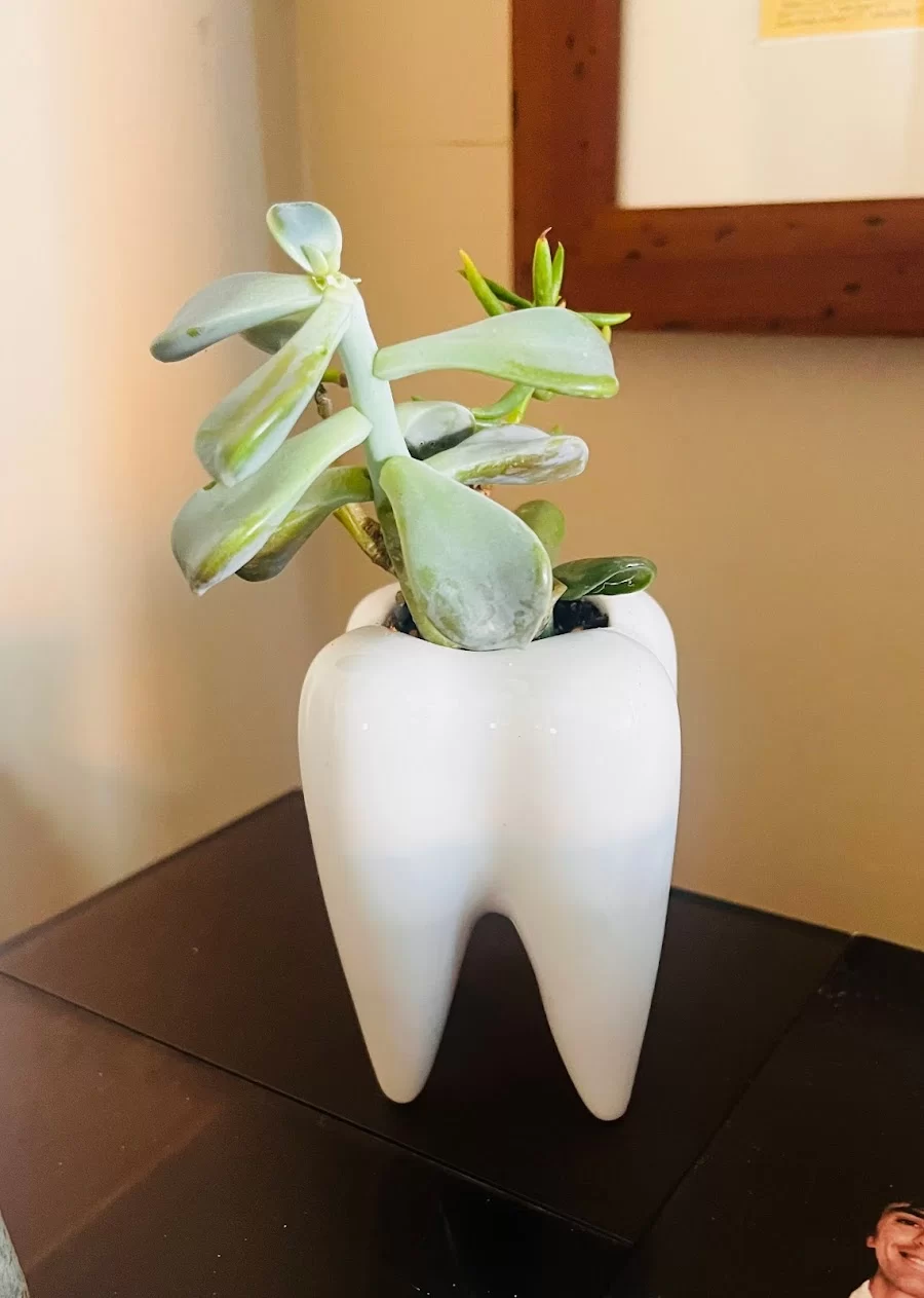 Cedar Creek Dental Picture 8