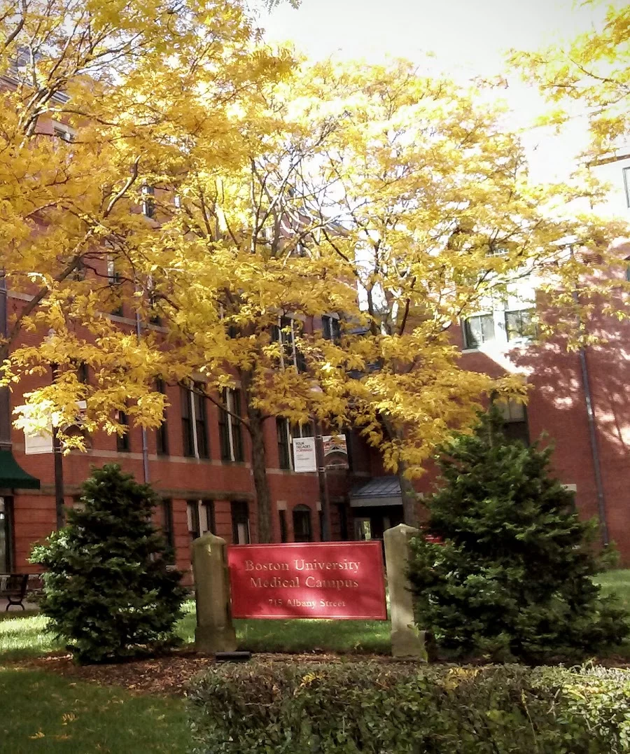 Boston University Henry M. Goldman School of Dental Medicine Picture 9