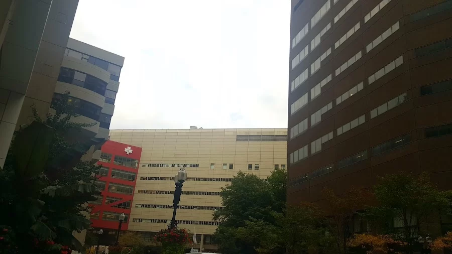 Tufts University School of Dental Medicine Picture 4