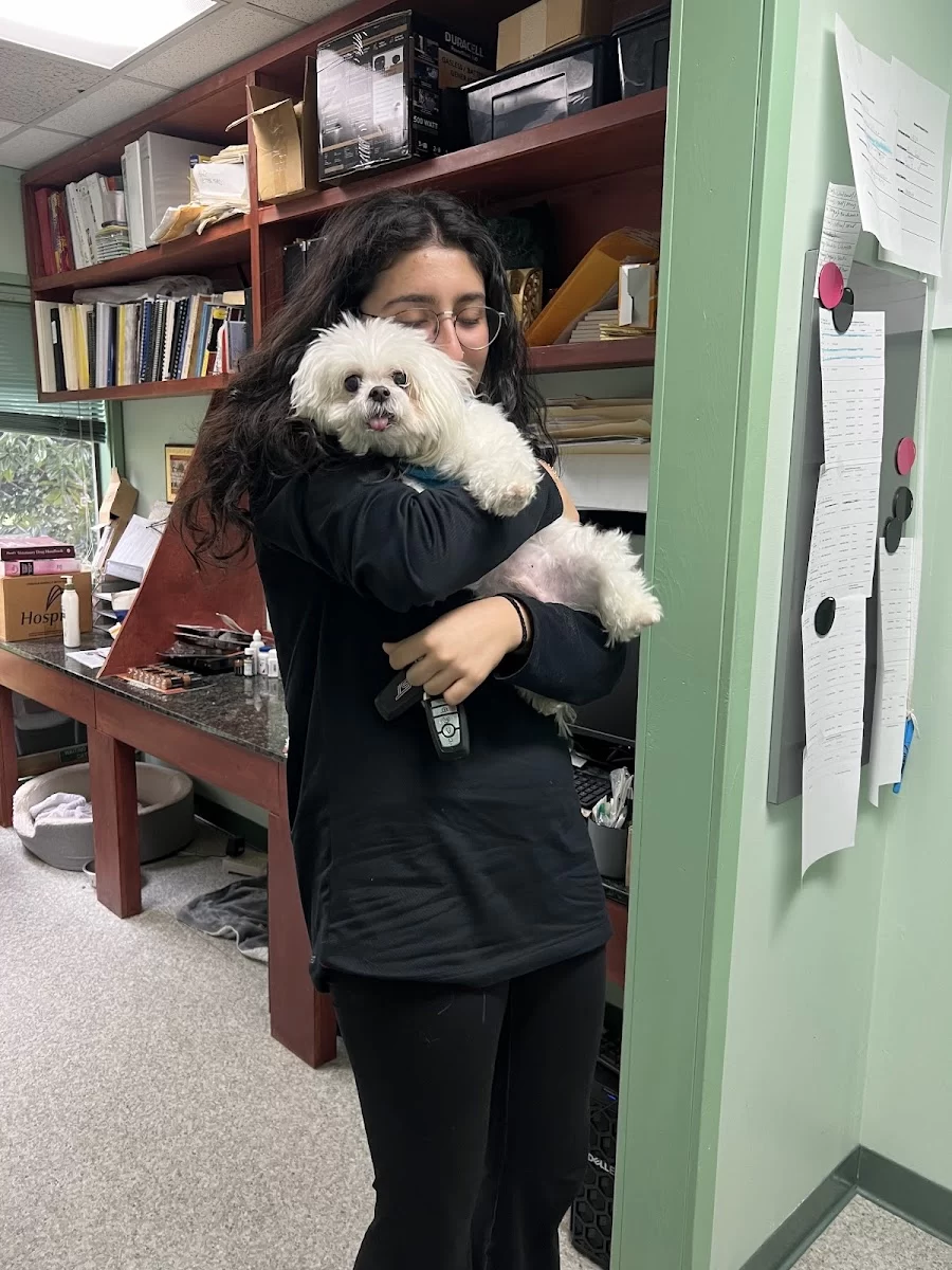 Animal Wellness and Rehabilitation Center Picture 8