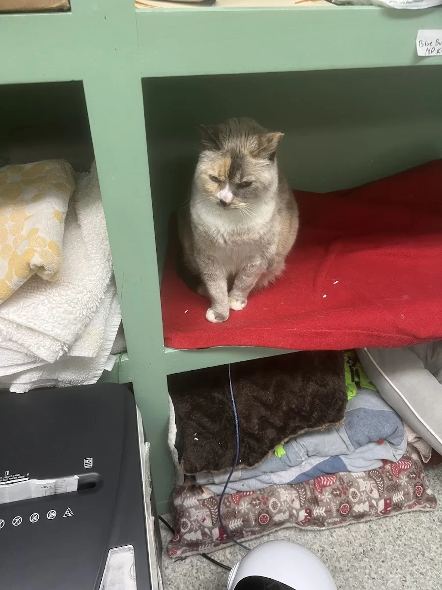 Animal Wellness and Rehabilitation Center Picture 3