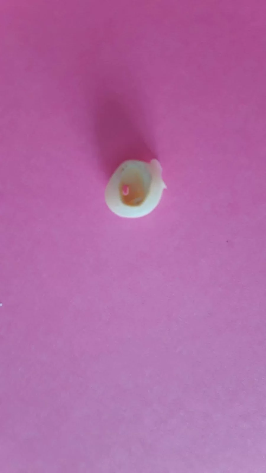 Rock Dental Picture 2