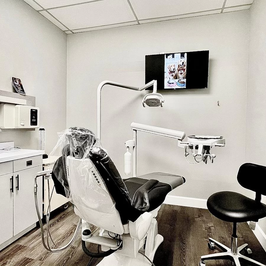 Best Dentistry Picture 10