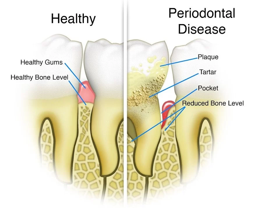 Esthetic Family Dentistry LLC Picture 6