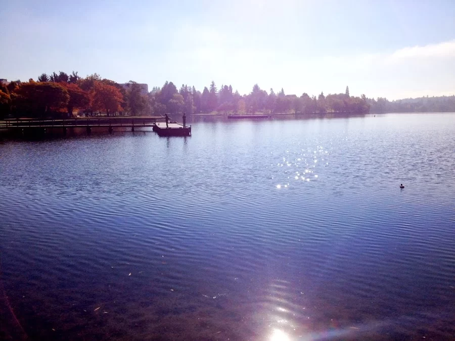 Green Lake Orthodontics Picture 7