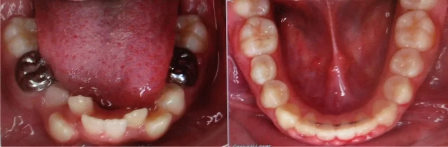 Salins Orthodontics: Salins Sheldon DMD MS Picture 2