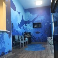 Pike Road Pediatric Dentistry & Family Orthodontics ico