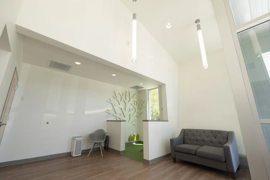 Painted Skies Dental Center Picture 2