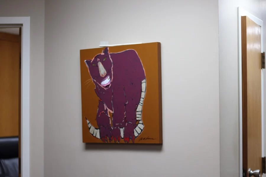 Ray Plant DDS Picture 1