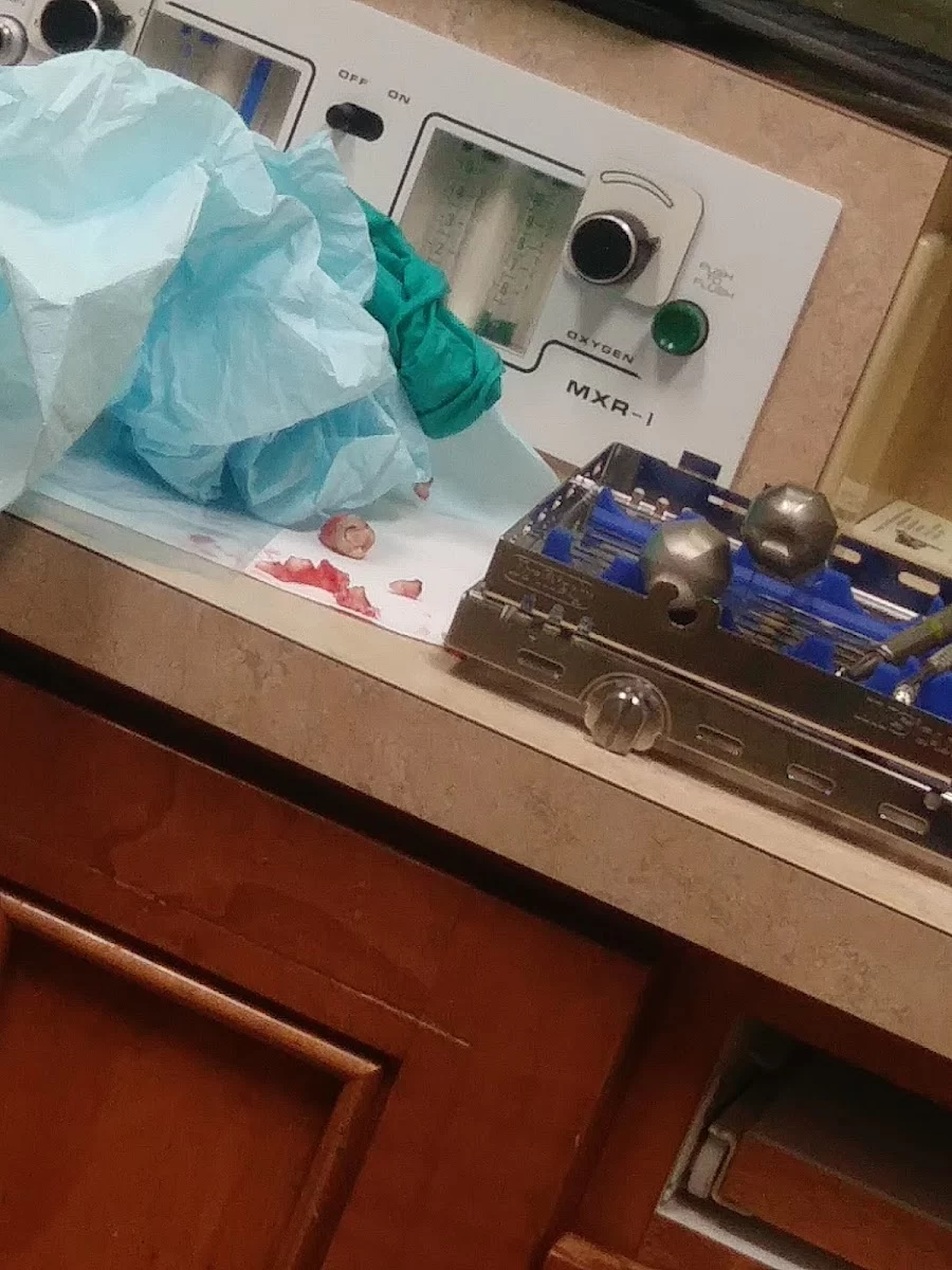 Dental Depot Picture 8