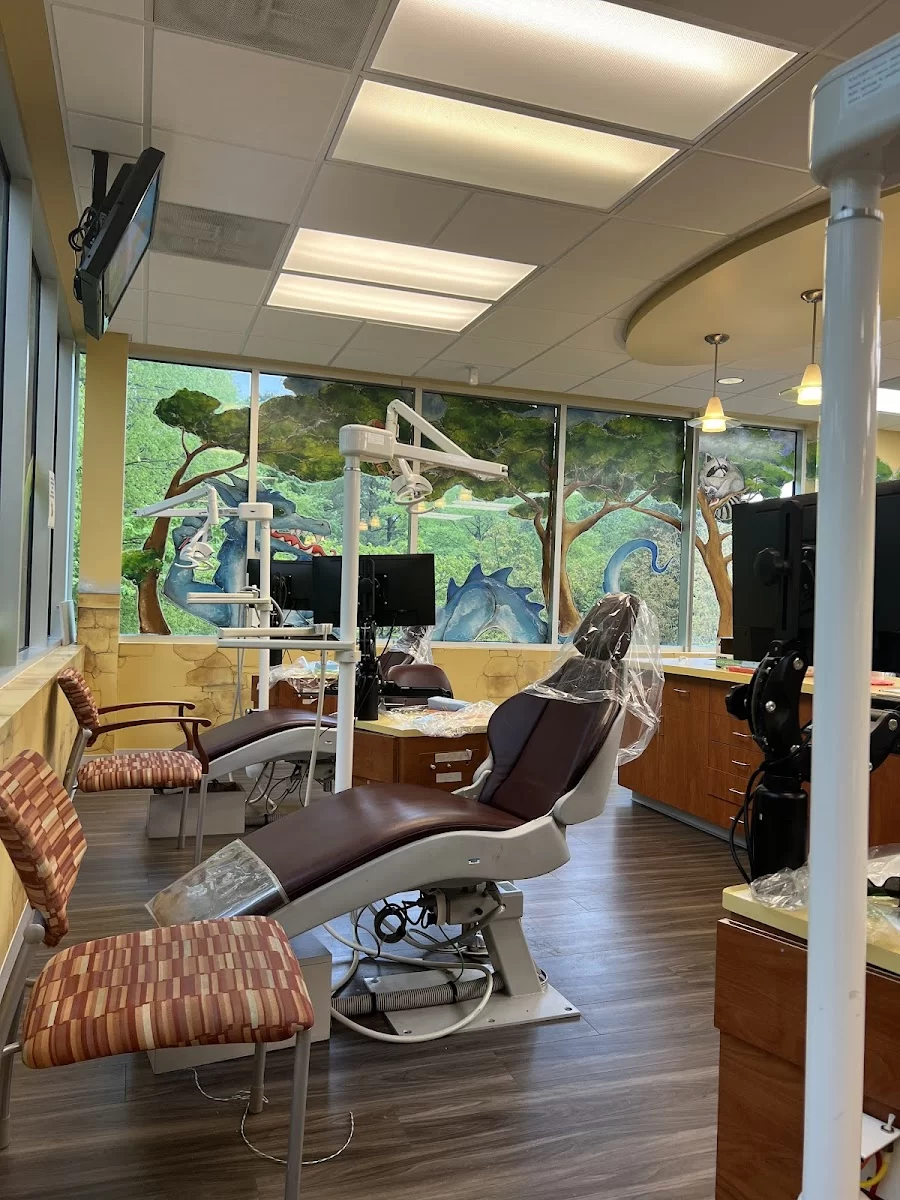 Riccobene Dentistry for Kids Picture 9
