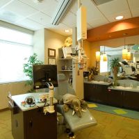 Cary Pediatric Dentistry ico