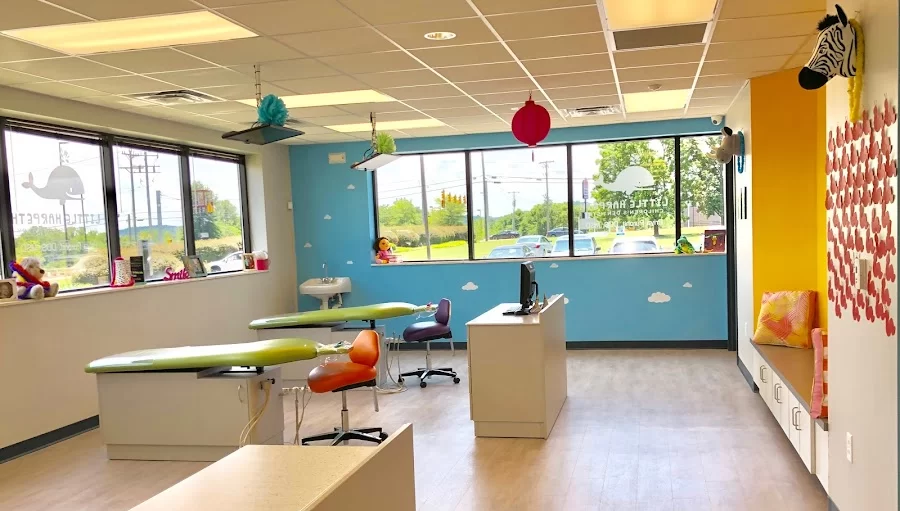 Little Harpeth Children's Dentistry: Priya Purohit, DMD, MSD Picture 1