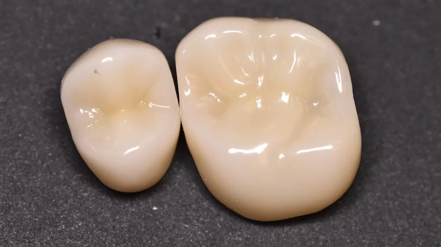 Leesville Dental Studio Picture 3