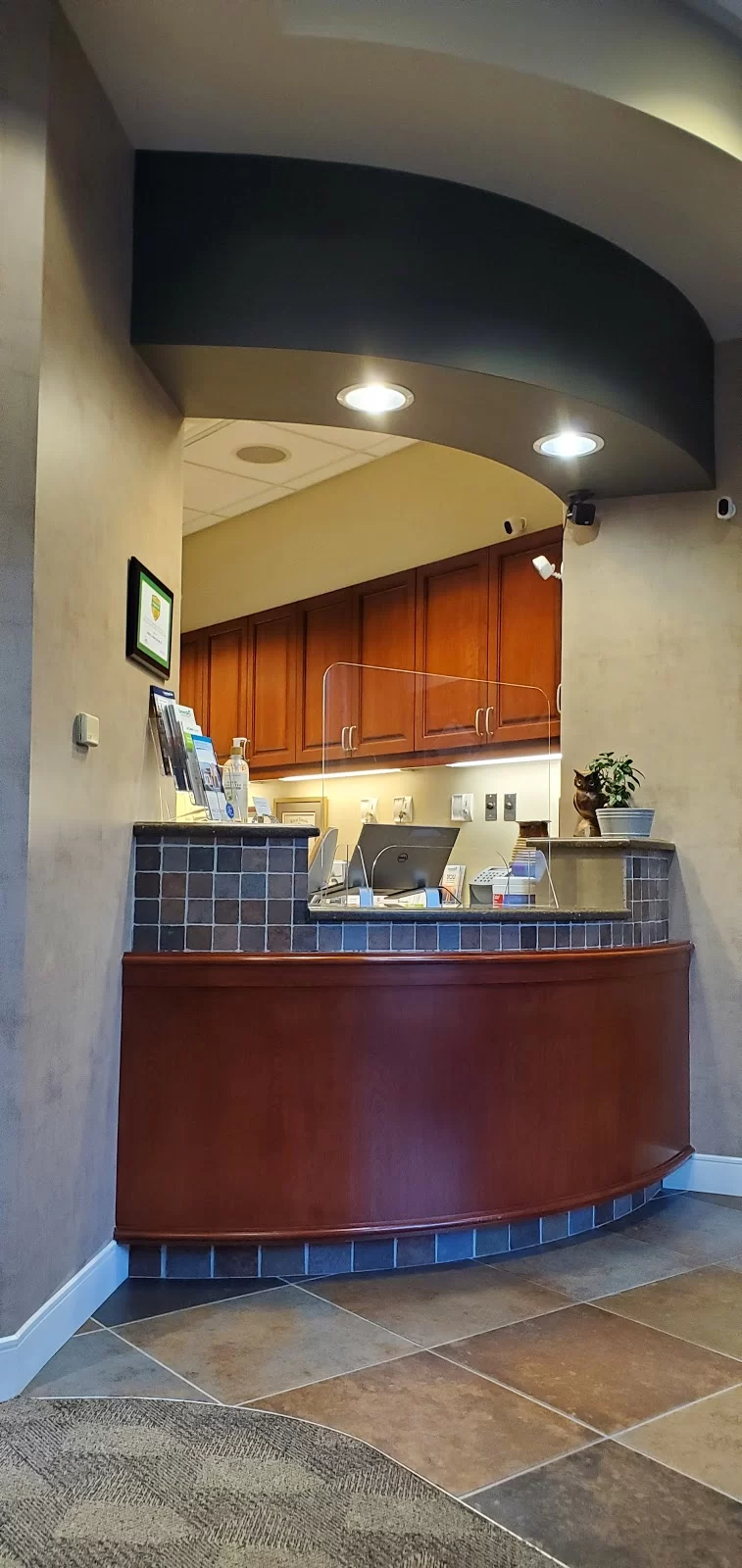 North Raleigh Endodontics Picture 3