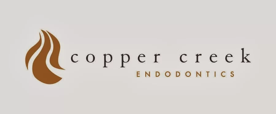 Copper Creek Endodontics, Curtis J Brimley DMD MBA MS Picture 1