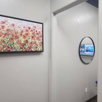 Wellness Dental ico