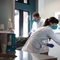 Timber Dental Bethany ico