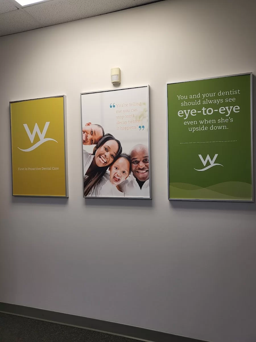 Willamette Dental Group - Tigard Picture 3