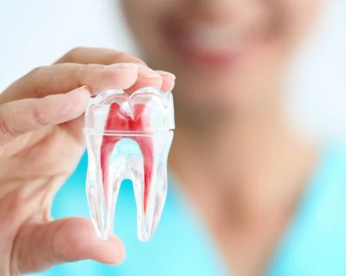 Kurt I Uyehara, DDS - Honolulu Preventative Family Dental | Sleep & TMJ Wellness Institute Picture 9