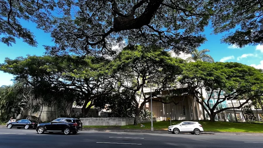 The Queen's Medical Center Picture 7
