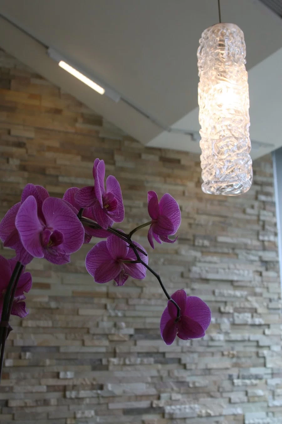 Pearl District Dental Picture 7