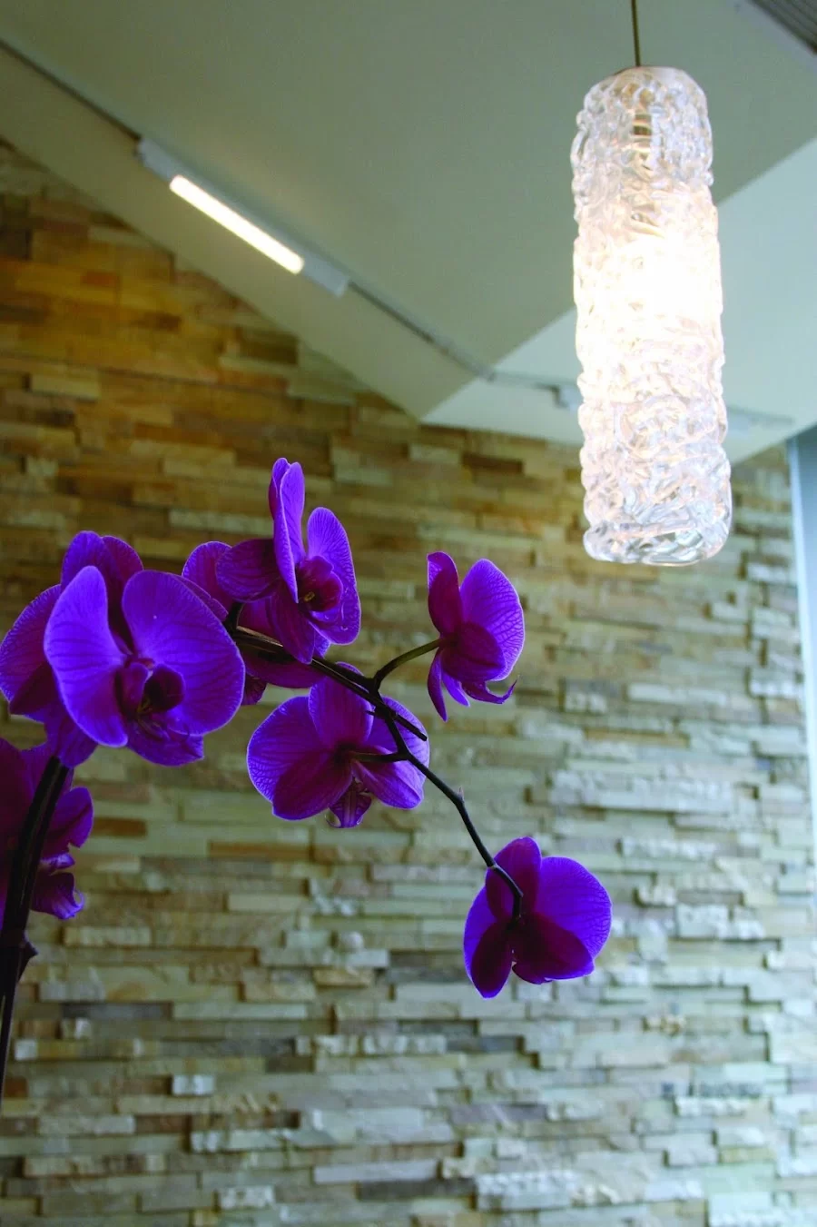 Pearl District Dental Picture 8