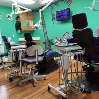Audrey E. Gordon, DDS ico