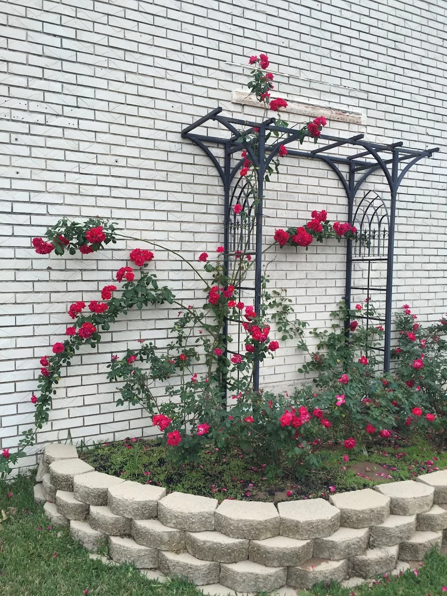 Brazos Valley Dental Arts| Dr. Tamie Erratt | Dr. Stephanie Reeh Picture 9