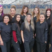 Dana Orthodontics ico