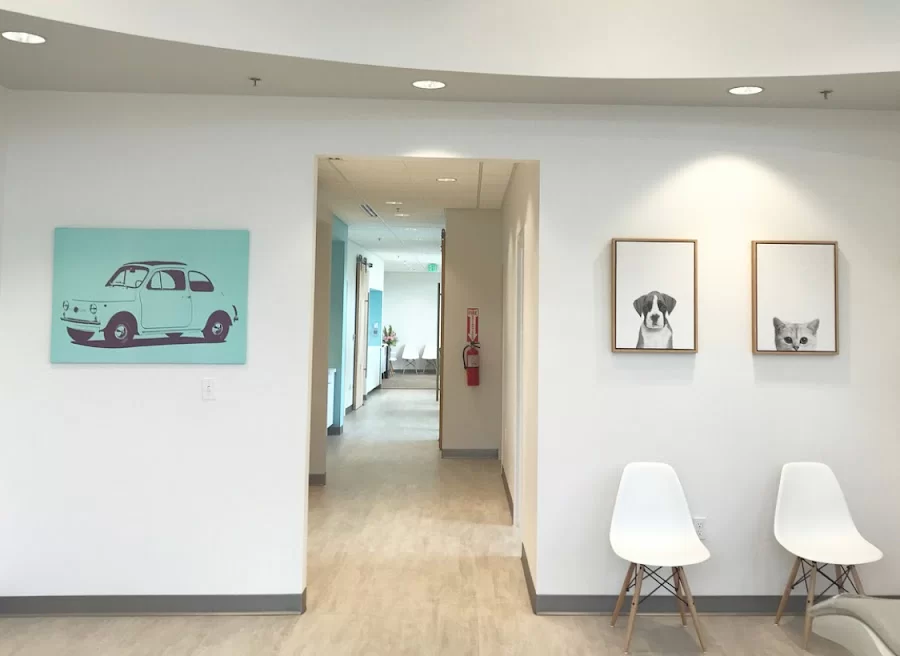 Progress Ridge Orthodontics Beaverton Picture 1