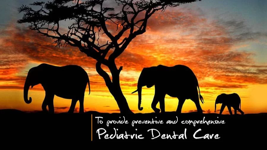 Brea Pediatric Dental Practice and Orthodontics Picture 5