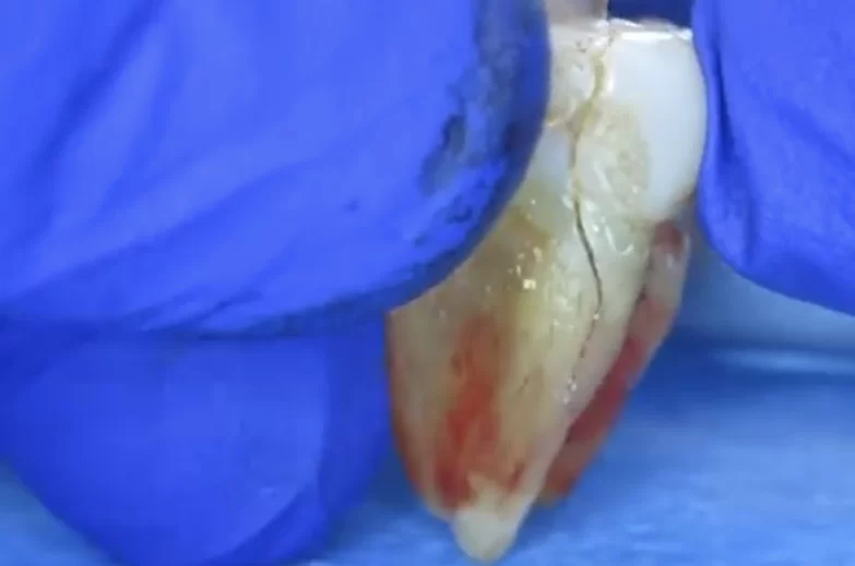 Dr. Jone Kim DDS Picture 1