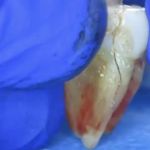 Dr. Jone Kim DDS