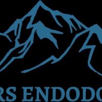 Powers Endodontics ico