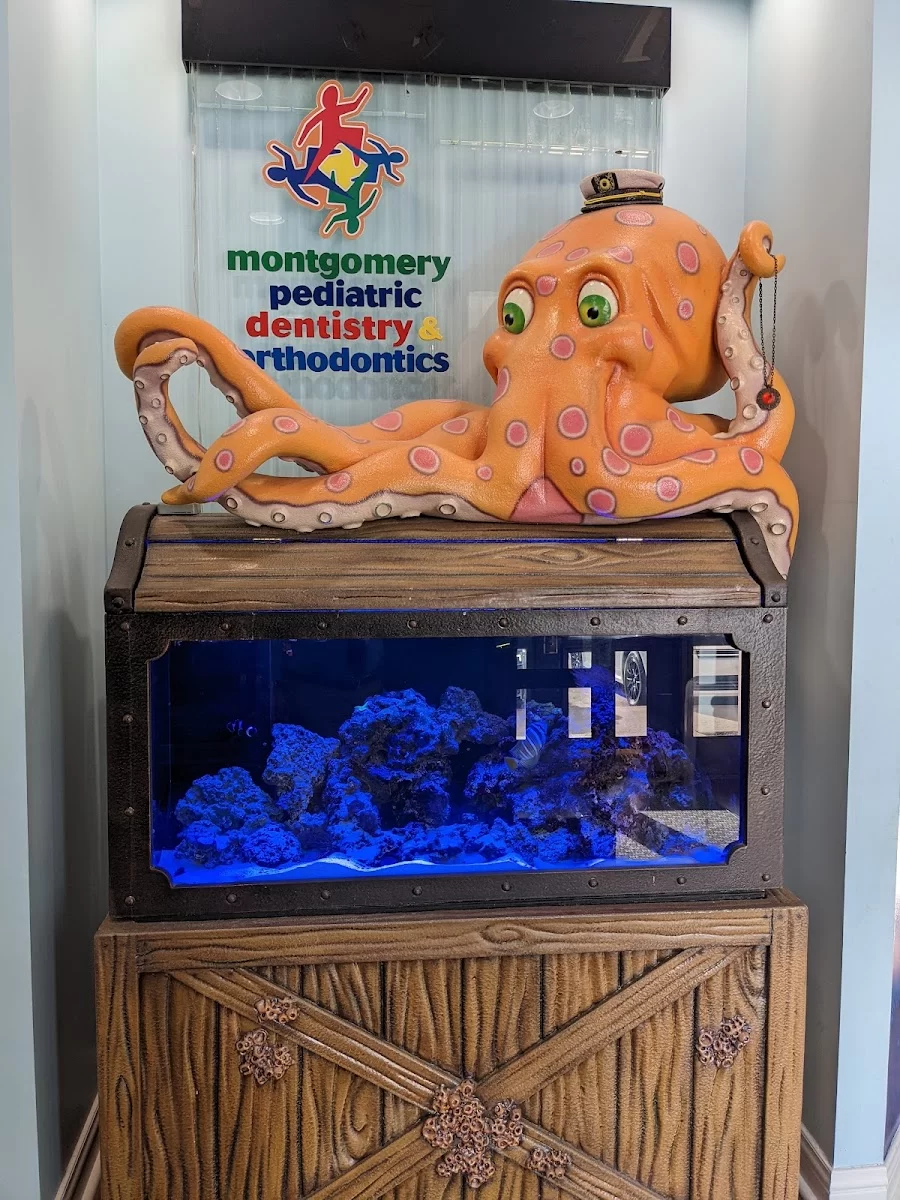 Montgomery Pediatric Dentistry & Family Orthodontics Picture 9