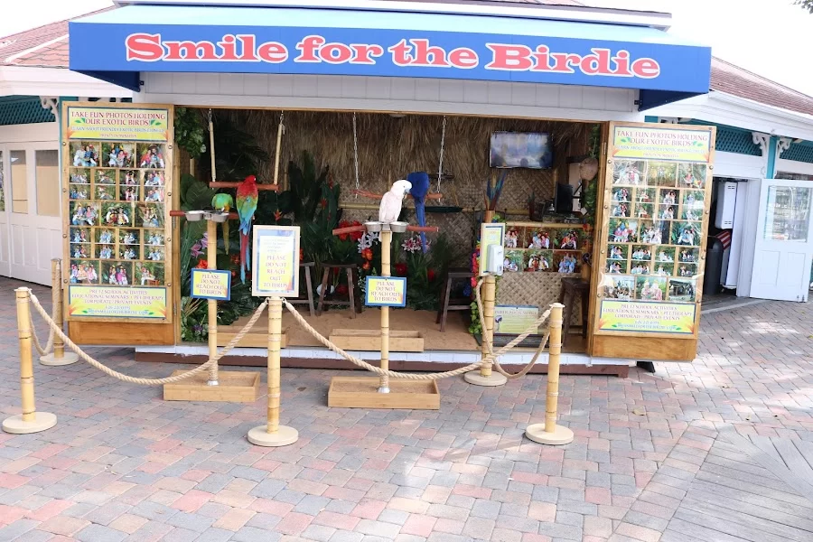 Smile For the Birdie Picture 1