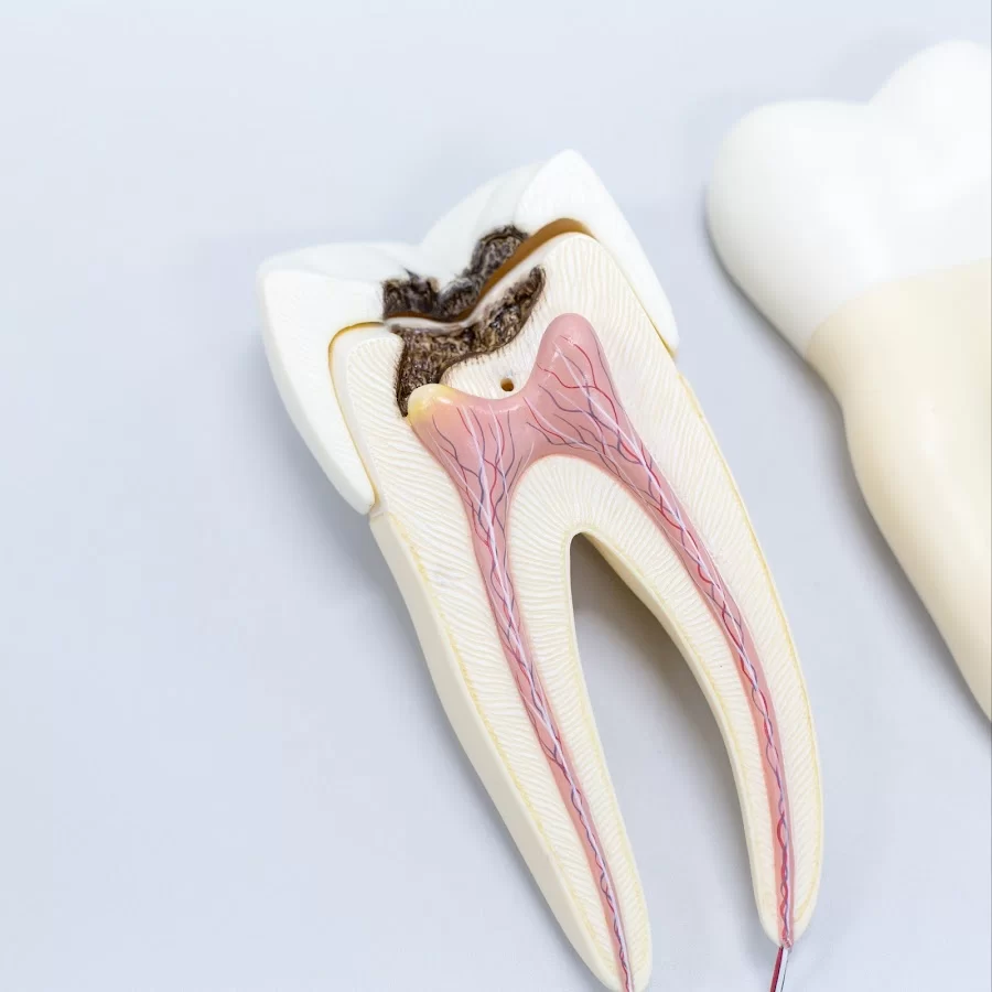 Madison Family Dental Associates Picture 8