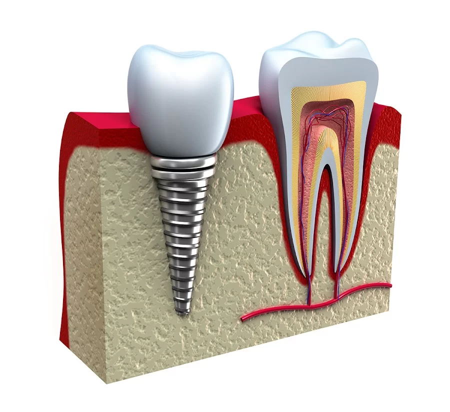 Empire Dental Group of New Jersey Picture 6