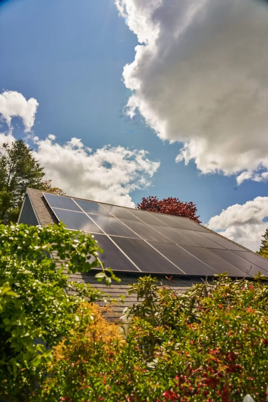 LaPlante Solar Company Picture 10