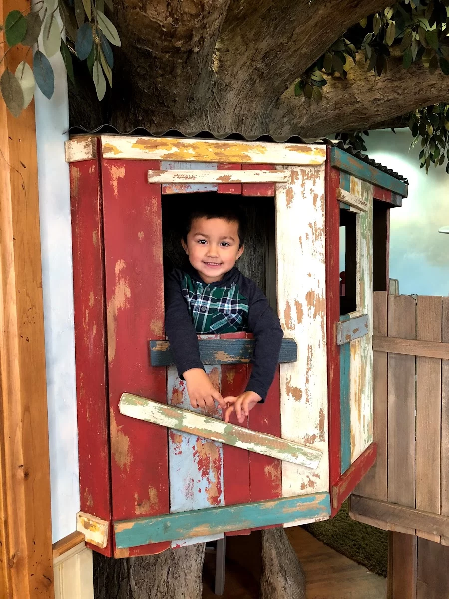 Redwood Pediatric Dentistry Picture 8