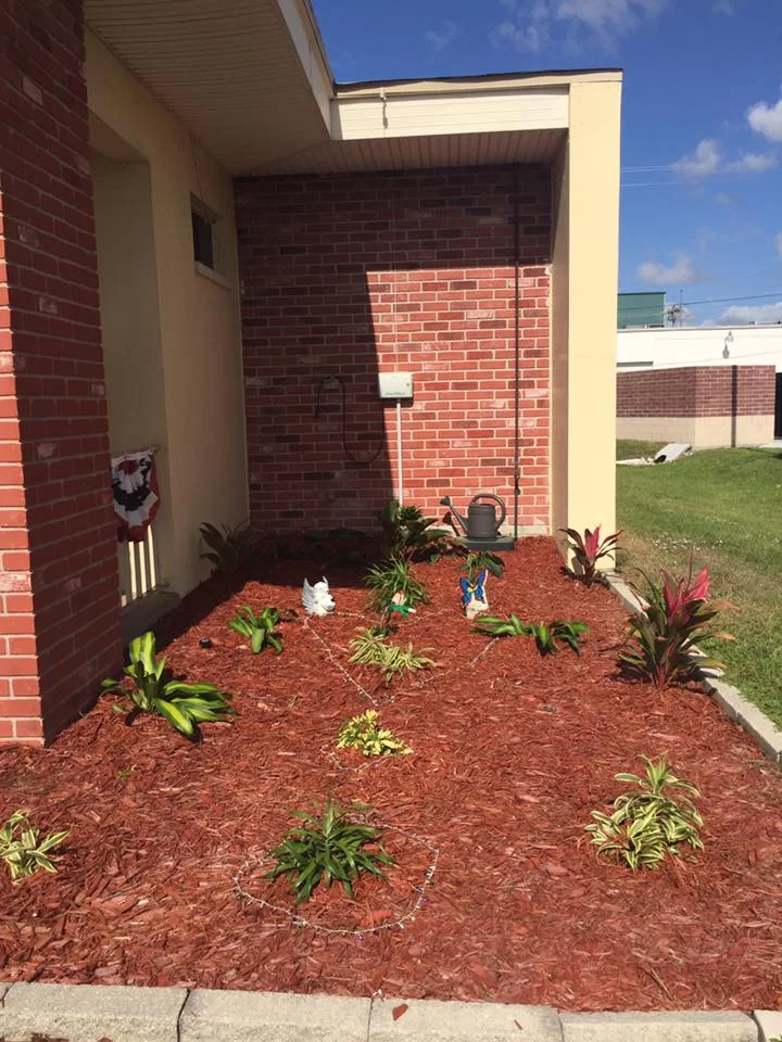 Adult Dentistry of Southwest Florida Picture 10