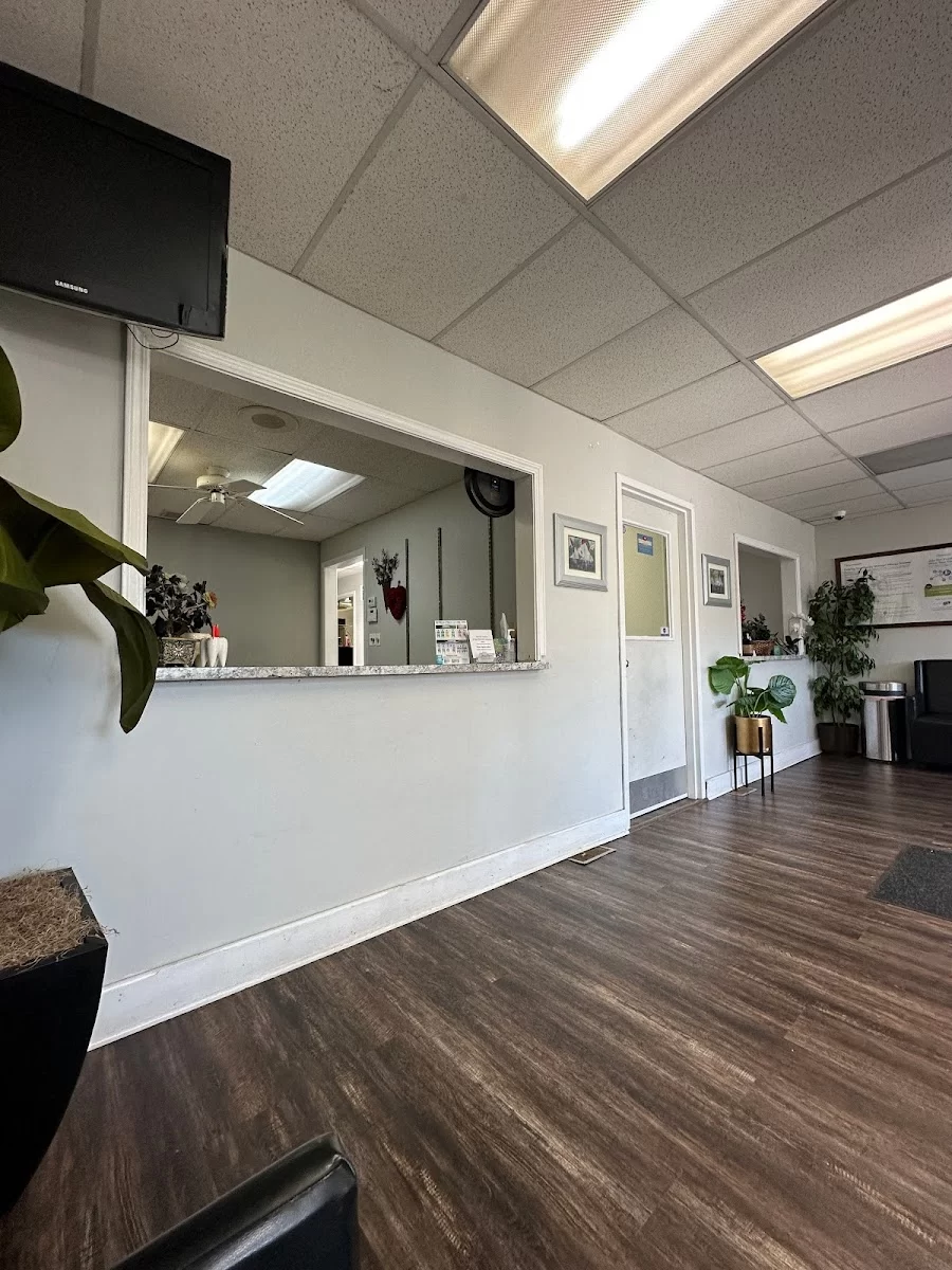 Cermak Dental Associates LLC Picture 1