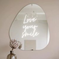 Smile Theory at Millennium Park ico