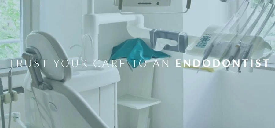 Endodontics Limited Picture 2