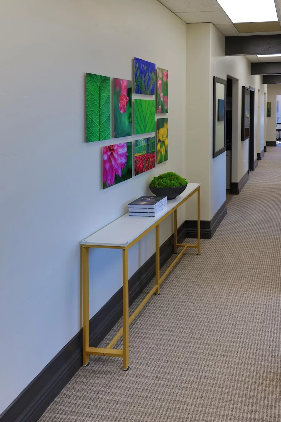 Pioneer Valley Dental Picture 9