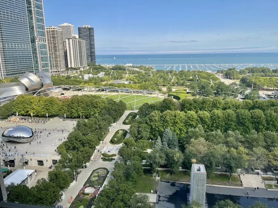 Dentistry at Millennium Park: Nanditha Ranganathan DDS Picture 8